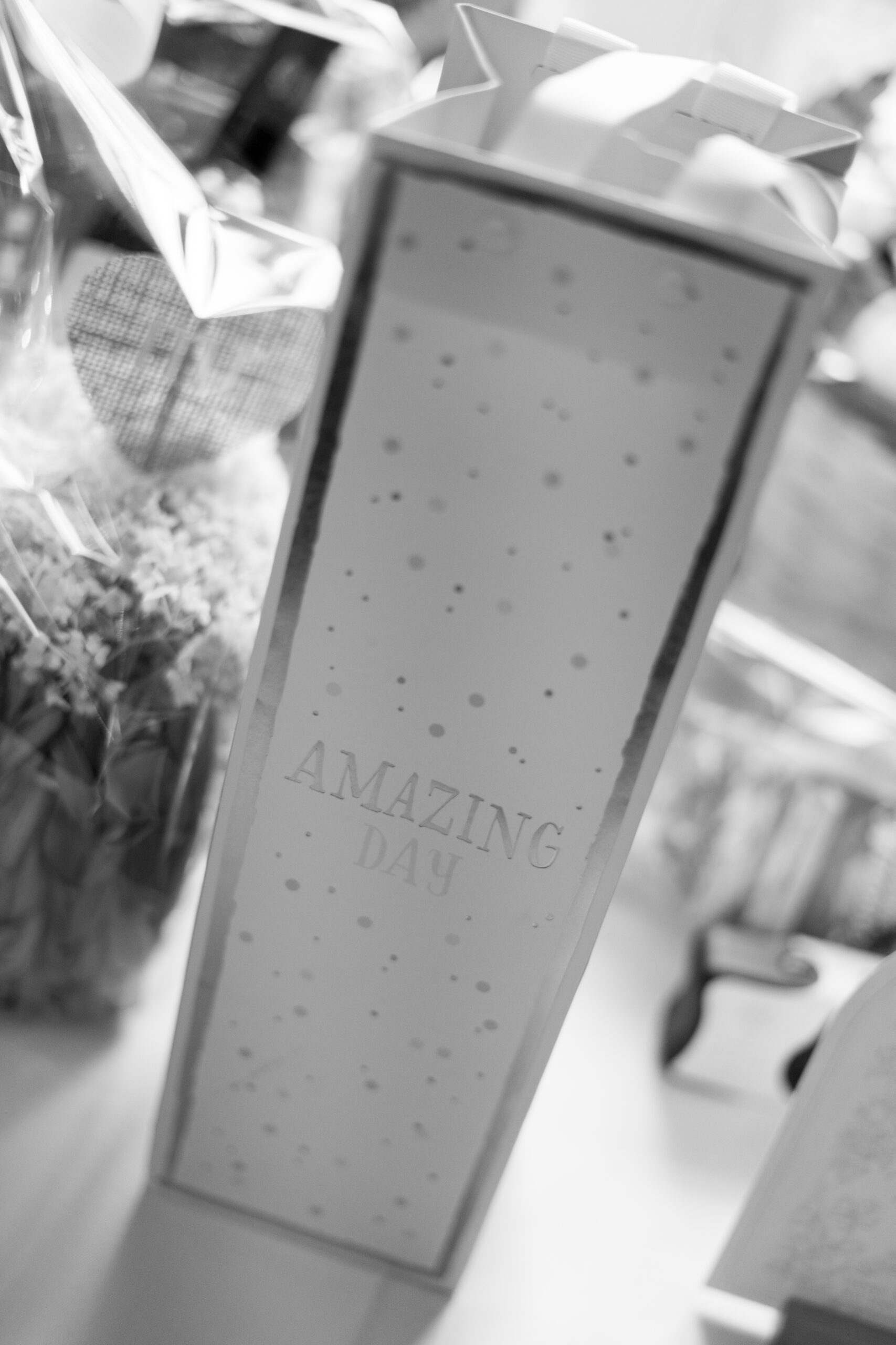 Angelika & Luca-1137