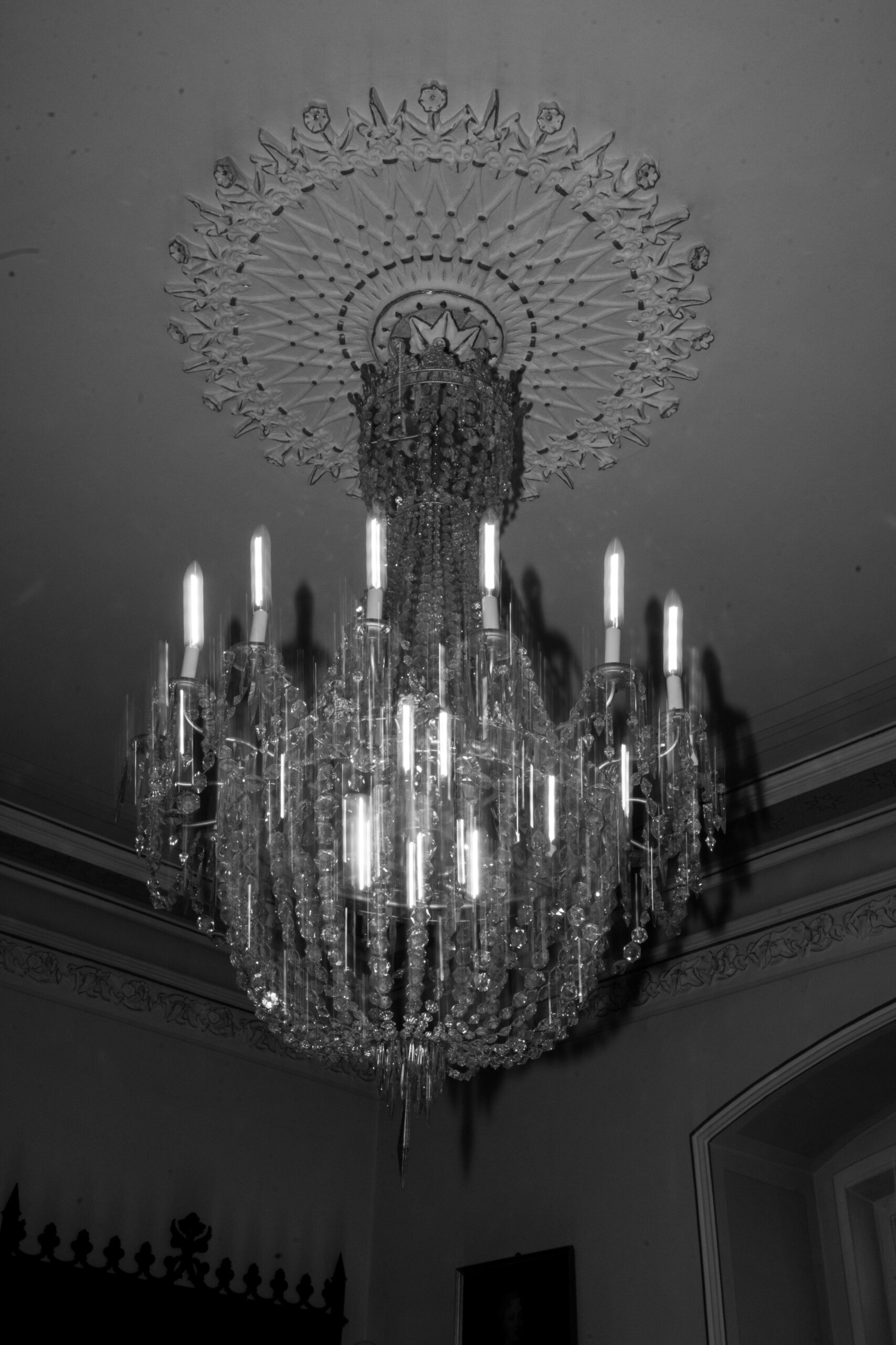 Angelika & Luca-1459